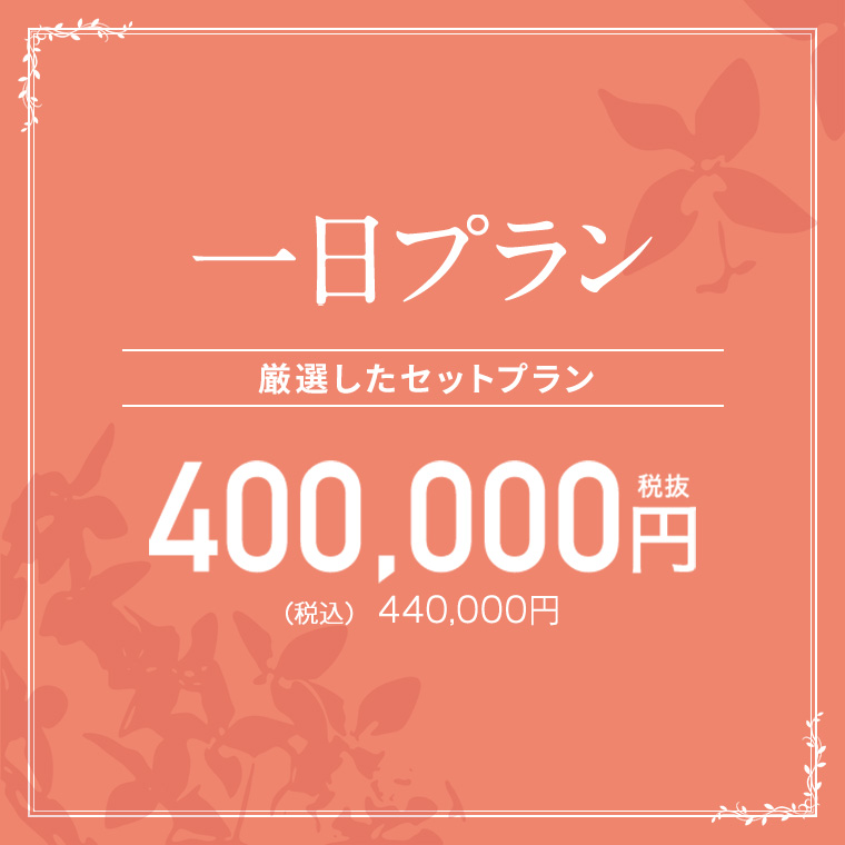 一日プラン400,000円