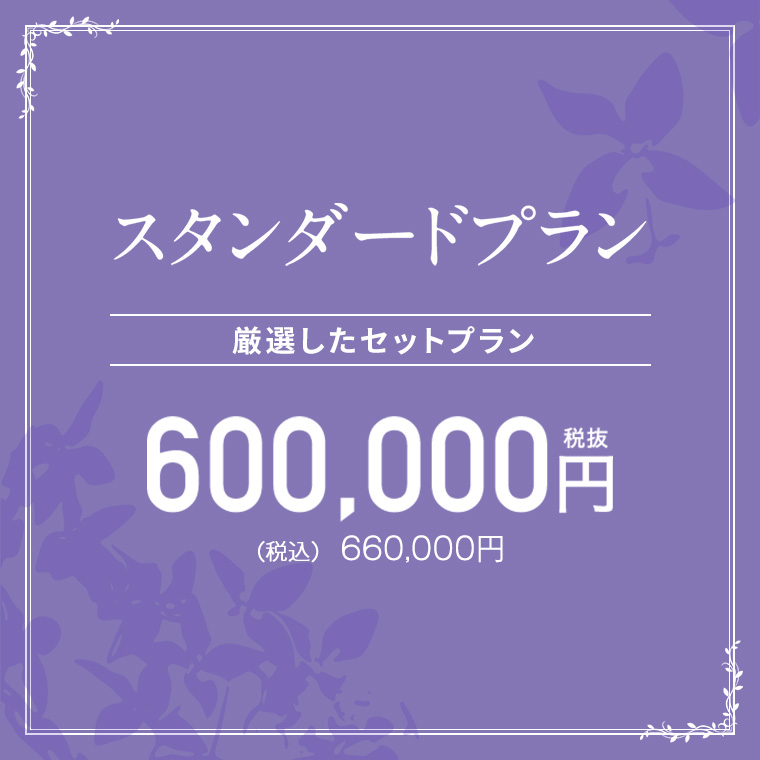 スタンダードプラン600,000円
